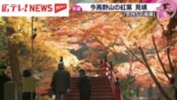 「きれいで高揚」　今高野山の紅葉が見頃 　広島・世羅町