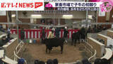 「最高値は119万円　畜産市場で今年初の子牛の競り・広島県三次市」の画像1