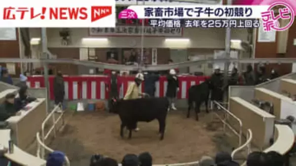 最高値は119万円　畜産市場で今年初の子牛の競り・広島県三次市