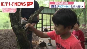 備北丘陵公園で園児がカブトムシとふれあい　広島・庄原市