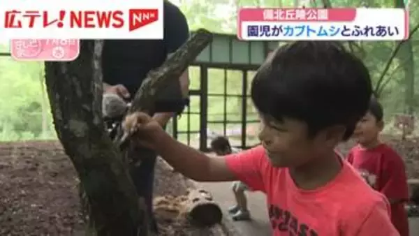 備北丘陵公園で園児がカブトムシとふれあい　広島・庄原市