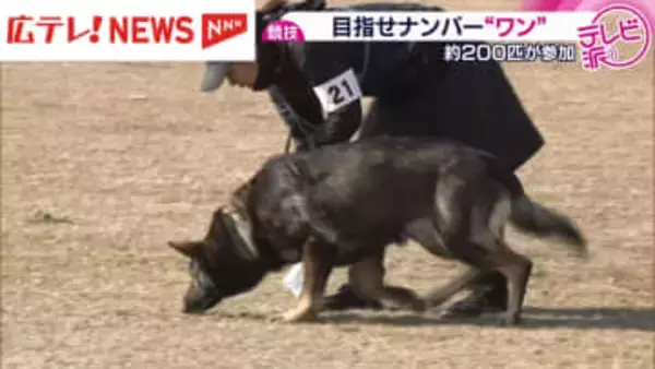 犯罪捜査や行方不明者の捜索で活躍　福山市で訓練犬の競技大会