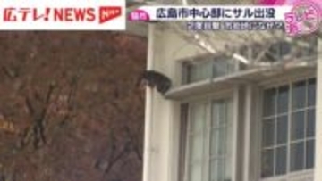 市街地の学校に”サル”出没…　カメラに校舎を壁伝いに走る姿　警察が行方追う　広島市