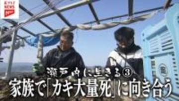 【密着】瀬戸内の海で起きたカキの大量死　「できることをやって前向きに」　未曽有の危機に直面した生産者たち　広島