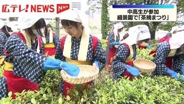 八十八夜の伝統行事　高校生が茶摘みを再現　広島