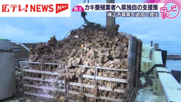 広島県がカキ養殖業者へ独自の支援策　補正予算案を追加提出