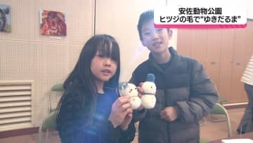 ヒツジの毛で飾り物づくり 広島・安佐動物公園