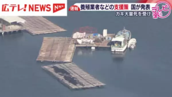 国がカキ養殖業者の支援策を発表　5年間実質無利子とする融資制度など