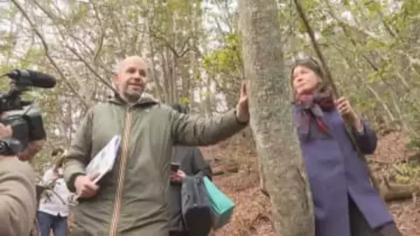 OECD＝経済協力開発機構が東広島市の森を視察