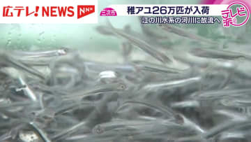 広島・三次の育成施設に稚アユ２６万匹が入荷