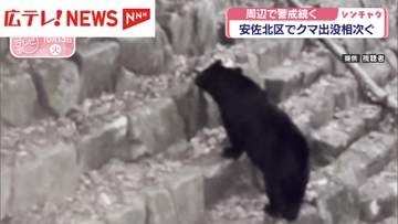 広島・安佐北区でクマ出没相次ぐ　周辺で警戒続く