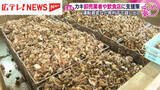 「カキ対策で県が独自の支援　対象を卸売業や飲食店に拡大」の画像1