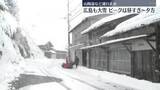 「広島でも大雪　山陽道などで通行止め　雪のピークは8日昼すぎ～夕方（8日午前11時半時点の情報）」の画像1