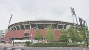 マツダスタジアムのオープン戦に「スイセンガーデン」が登場！