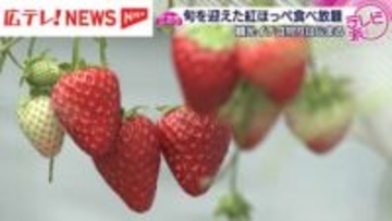 30分食べ放題「観光イチゴ狩り」始まる　広島・三次