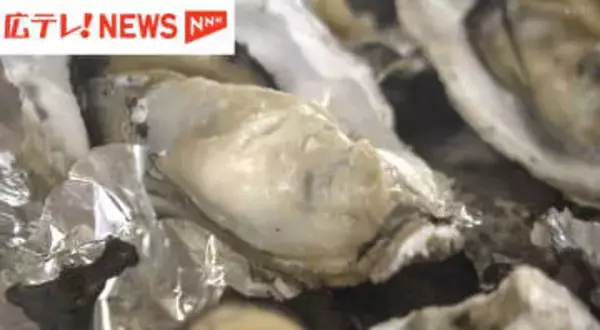 【特集】生産量日本一の広島カキの大量死で広がる影響　「おいしかったの声に勇気をもらう」　苦境に立たされても前を向く生産者