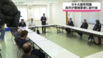 カキ大量死問題　呉市が養殖業者に給付金