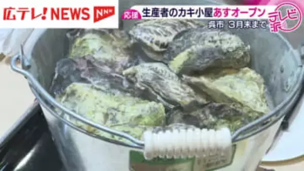 カキ大量死の影響続くなか生産者のカキ小屋が9日オープン　広島・呉市