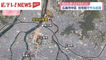 「何かと思ったらサル」　広島市中心部の住宅街に出没　捕獲にいたらず注意呼びかけ