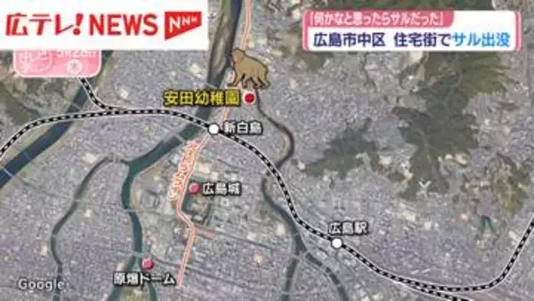 「何かと思ったらサル」　広島市中心部の住宅街に出没　捕獲にいたらず注意呼びかけ