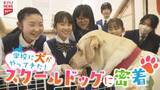 「学校に犬がやってきた！　“スクールドッグ”に密着・広島市」の画像1