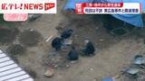 「広島・三原市の地中から男性遺体　死因は不詳　東広島事件との関連捜査」の画像1