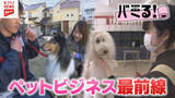 「【バミる！】広島のペットビジネス最前線」の画像1