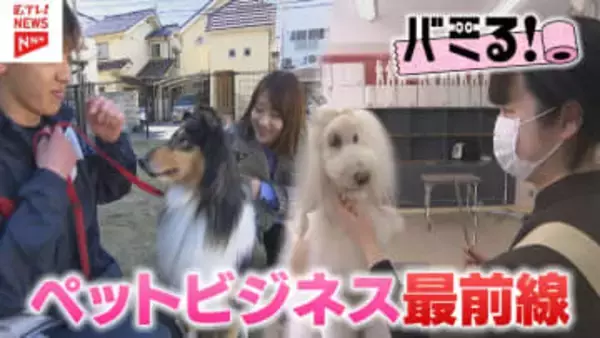 【バミる！】広島のペットビジネス最前線
