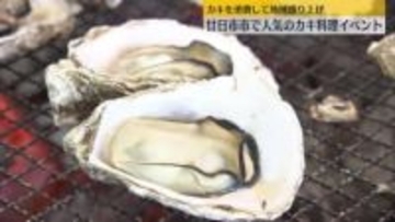 カキの産地で旬の味を楽しんで　順調に成長したカキ使用し料理イベント開催・広島県廿日市市