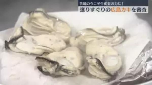 苦しい今こそ生産者の力に！広島カキの頂点決める