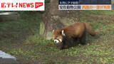 「広島・安佐動物公園　クマ出没で閉鎖の西園が一部再開」の画像1