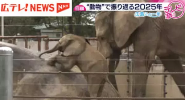 【動物たちで振り返る２０２５年】喜びにあふれた国内初の出産　怒りと哀しみで不安になる日々　家族で楽しめる癒しの空間