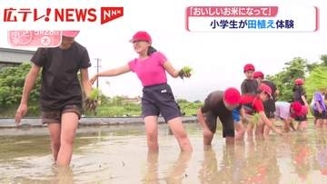 小学生が田植え体験　農業体験実習の一環　広島・呉市