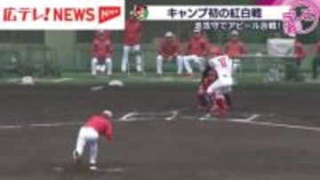 カープ・日南キャンプ初の紅白戦　アピールした選手は…？