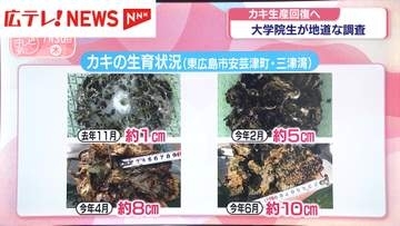 カキ生産回復へ　大学院生が取り組む地道な調査とは…