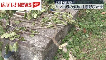 住宅の柿の木にクマの爪痕 住民に注意呼びかけ 広島市安佐南区