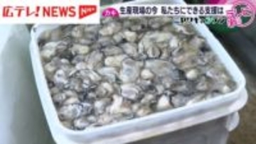 広島のカキの現状と今できる支援