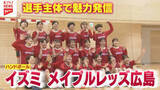「【ハンドボール】選手主体で魅力発信！イズミメイプルレッズ広島の挑戦」の画像1