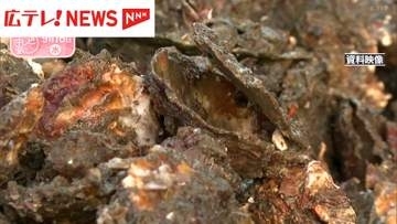カキ厳戒アラート対象地域が拡大　現時点で大量死は確認されず・広島県