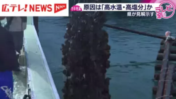 カキ大量死の原因は「高水温・高塩分」が影響か　県が調査結果で可能性示す・広島県