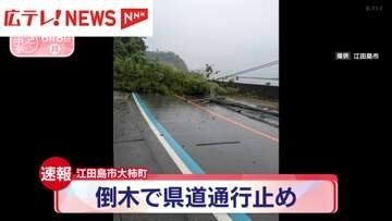 【速報】江田島市大柿町　倒木で県道通行止め