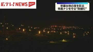 特産ナシを害虫から守る”防蛾灯”点灯　広島県世羅町