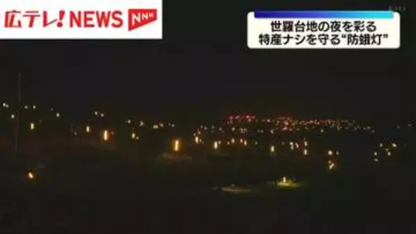 特産ナシを害虫から守る”防蛾灯”点灯　広島県世羅町