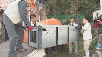 クマが住宅に設置したわなにかかる 広島市安佐南区