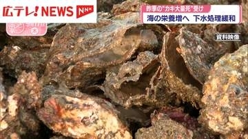 昨季の“カキ大量死”受け海の栄養増へ　下水処理施設の排水規制を緩和へ
