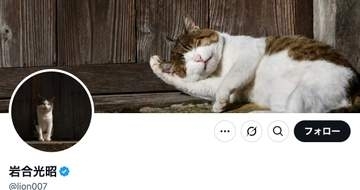 写真家・岩合光昭、チャリティーオークションに愛猫の大胆プリント＆直筆サイン入りロングTシャツなどを出品