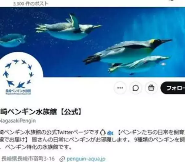 世界最小のペンギン、どうしても泳げず...泳げるヒナから激励の“ヒレタッチ”⇨「がんばれ」「練習大事」と応援続々