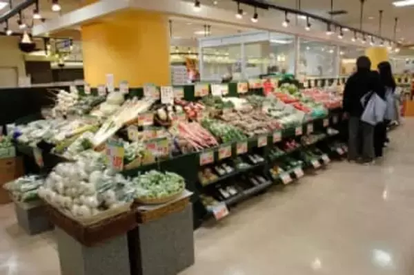 10月の消費者物価指数、3.0%上昇。食品や電気代の高騰で家計圧迫