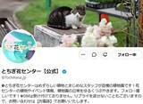 「その赤い実、絶対に触らないで！“暴君”をかじった“挑戦者”に「辛そう」「無謀」と戦慄の声」の画像1