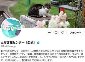 その赤い実、絶対に触らないで！“暴君”をかじった“挑戦者”に「辛そう」「無謀」と戦慄の声